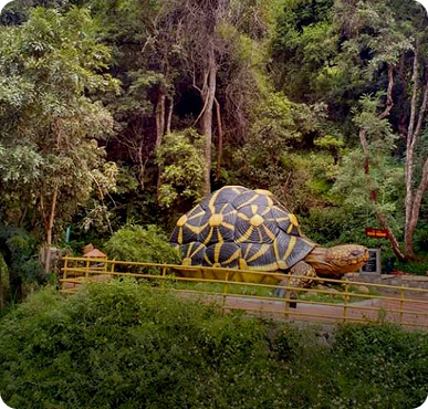 Athirappilly